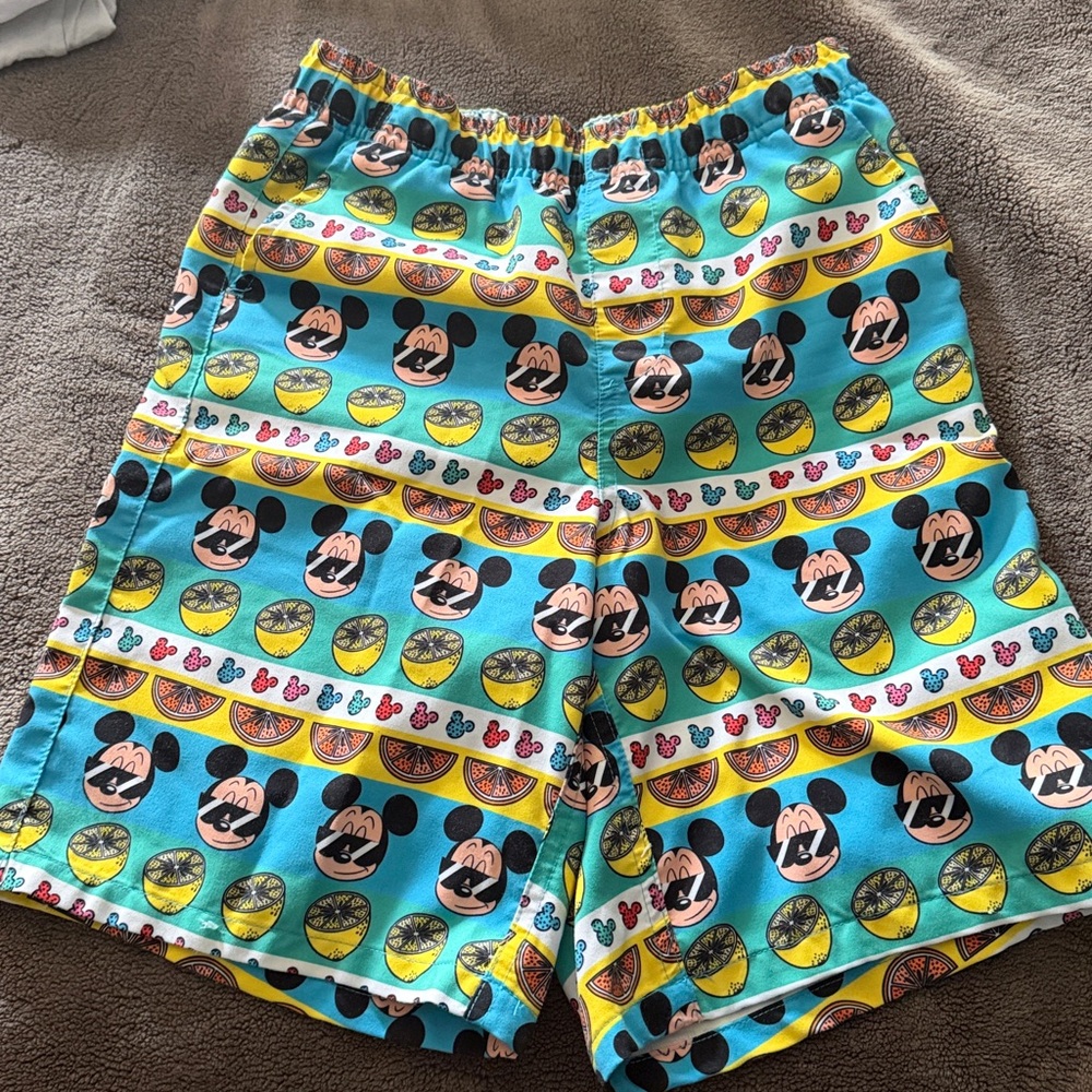 Disney Resort Swim Shorts